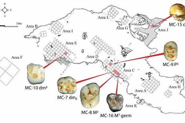 Phát hiện 6 hóa thạch răng người 40.000 năm tuổi tại Israel - Anh 1