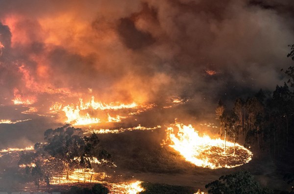 Australia điều thêm 3.000 binh sỹ ứng phó với thảm họa cháy rừng - Anh 1