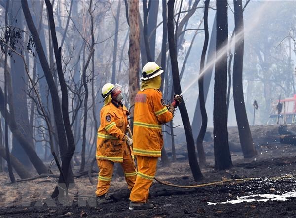 Australia: Không có mối liên hệ giữa cháy rừng và biến đổi khí hậu - Anh 1