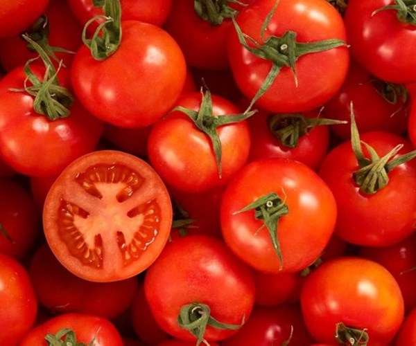 5 sai lầm khi ăn cà chua cực kì tai hại nhiều người mắc phải - Anh 1