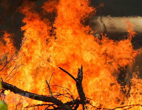 Australia: Nền nhiệt tăng, nguy cơ nhiều đám cháy rừng tái bùng phát - Anh 1