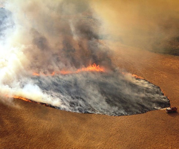 Khí carbon từ cháy rừng ở Australia tương đương với cháy rừng Amazon - Anh 1