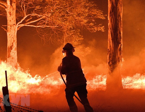 Australia: Lực lượng cứu hỏa làm việc cả đêm khống chế cháy rừng - Anh 1