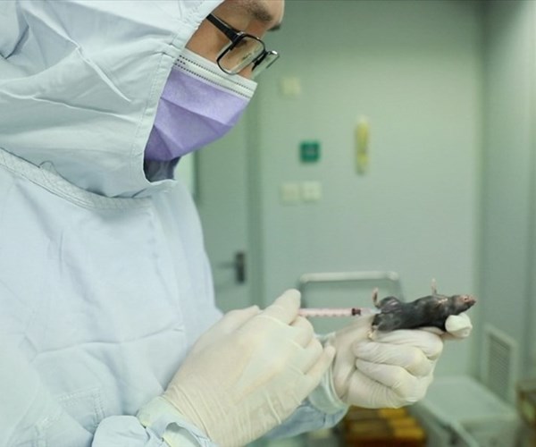 Trung Quốc bắt đầu thử nghiệm vaccine virus corona trên động vật - Anh 1