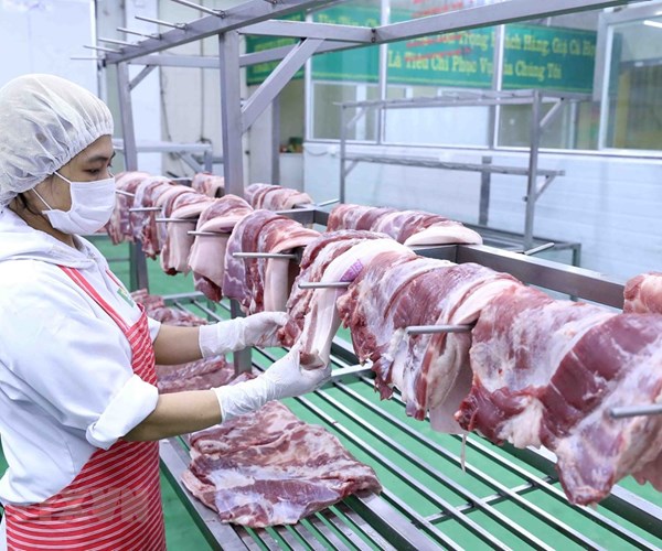 Thủ tướng yêu cầu kiên quyết giảm giá thịt lợn dưới 60.000 đồng mỗi kg - Anh 1