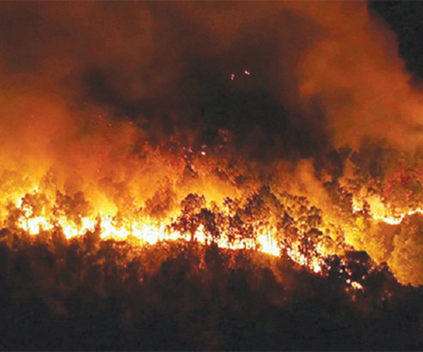 Hàng ngàn người trắng đêm dập cháy rừng ở Nghệ An - Anh 2