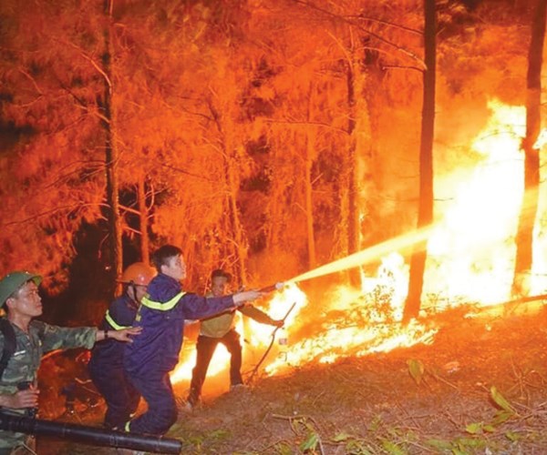 Hàng ngàn người trắng đêm dập cháy rừng ở Nghệ An - Anh 1