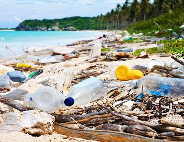 Costa Rica sẽ cấm đồ nhựa dùng một lần tại các khu bảo tồn - Anh 1