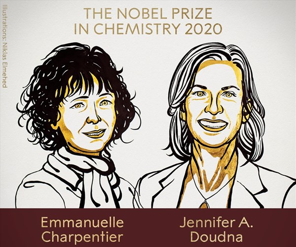 Hai nhà khoa học nữ nhận giải Nobel Hóa học 2020 - Anh 1