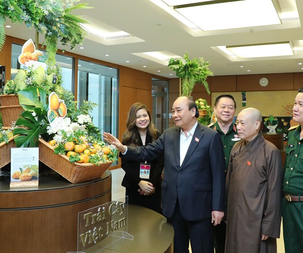 Thủ tướng tham quan Triển lãm Bản đồ trái cây Việt Nam - Anh 1