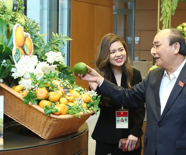 Thủ tướng tham quan Triển lãm Bản đồ trái cây Việt Nam - Anh 2