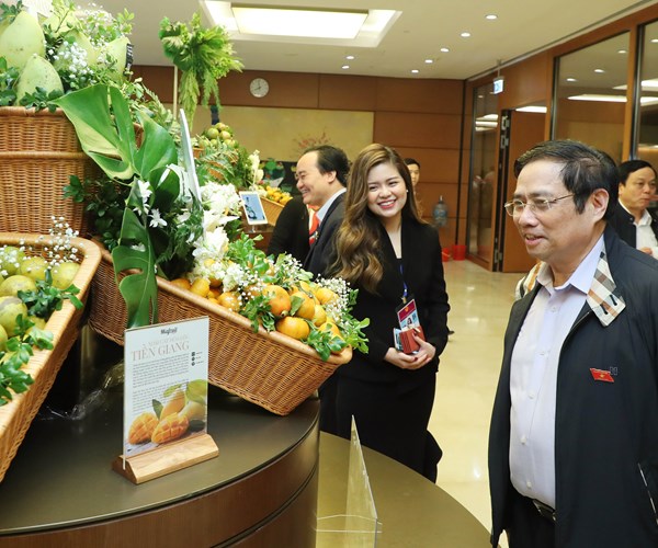 Thủ tướng tham quan Triển lãm Bản đồ trái cây Việt Nam - Anh 3