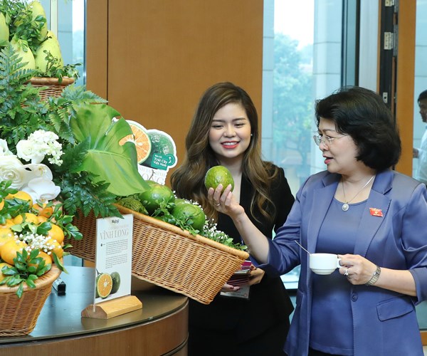 Thủ tướng tham quan Triển lãm Bản đồ trái cây Việt Nam - Anh 4