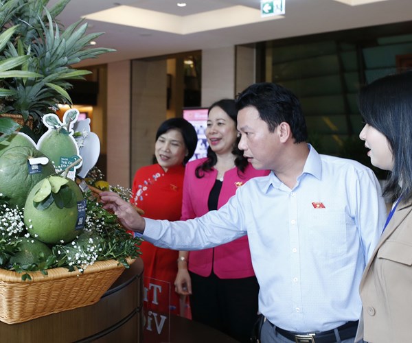 Thủ tướng tham quan Triển lãm Bản đồ trái cây Việt Nam - Anh 5