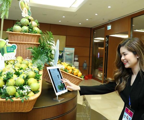 Thủ tướng tham quan Triển lãm Bản đồ trái cây Việt Nam - Anh 7