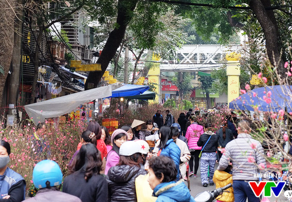 Hà Nội tổ chức 89 điểm chợ hoa xuân phục vụ Tết Tân Sửu 2021 - Anh 1