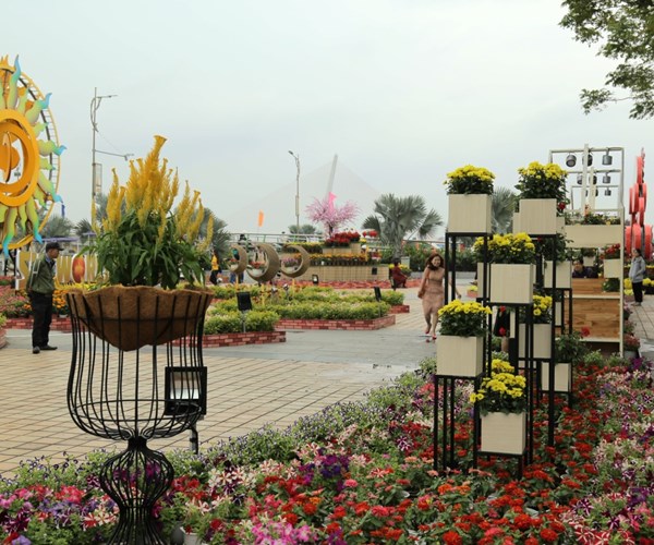 Người dân và du khách thích thú chiêm ngưỡng con đường hoa đẹp lạ bên sông Hàn - Anh 1