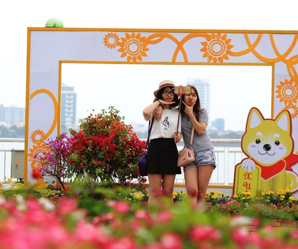 Người dân và du khách thích thú chiêm ngưỡng con đường hoa đẹp lạ bên sông Hàn - Anh 7