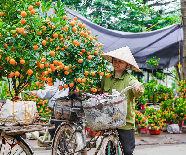 Nam Định: Chợ hoa Xuân vắng khách do ảnh hưởng của dịch Covid-19 - Anh 3