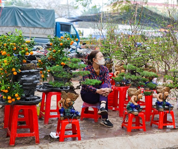 Nam Định: Chợ hoa Xuân vắng khách do ảnh hưởng của dịch Covid-19 - Anh 4