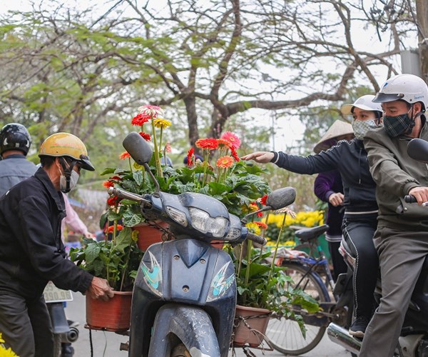 Nam Định: Chợ hoa Xuân vắng khách do ảnh hưởng của dịch Covid-19 - Anh 9