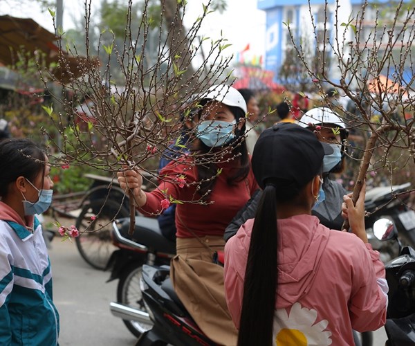 Nam Định: Chợ hoa Xuân vắng khách do ảnh hưởng của dịch Covid-19 - Anh 10