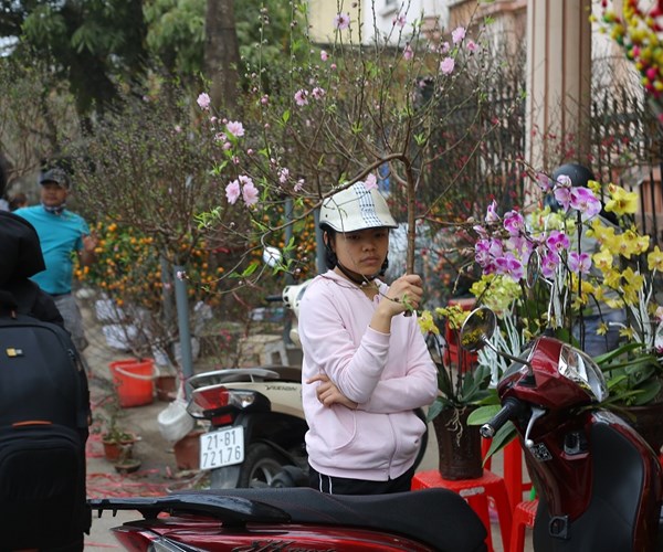Nam Định: Chợ hoa Xuân vắng khách do ảnh hưởng của dịch Covid-19 - Anh 5