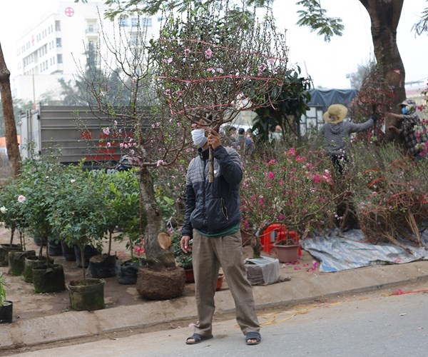 Nam Định: Chợ hoa Xuân vắng khách do ảnh hưởng của dịch Covid-19 - Anh 7