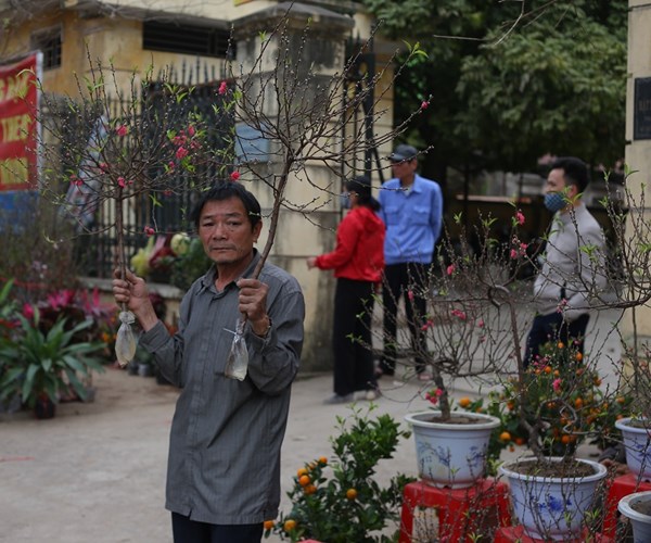 Nam Định: Chợ hoa Xuân vắng khách do ảnh hưởng của dịch Covid-19 - Anh 6