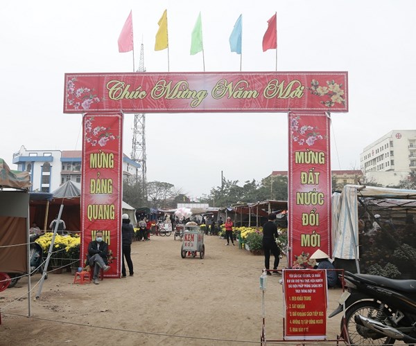 Nam Định: Chợ hoa Xuân vắng khách do ảnh hưởng của dịch Covid-19 - Anh 1