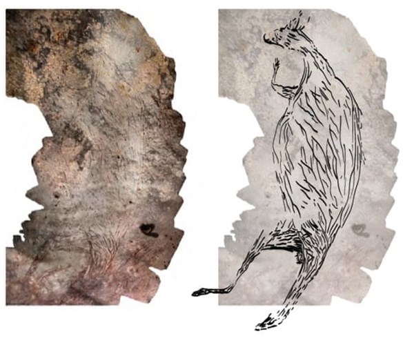 Phát hiện bức vẽ kangaroo trên đá có niên đại lâu đời nhất ở Australia - Anh 1