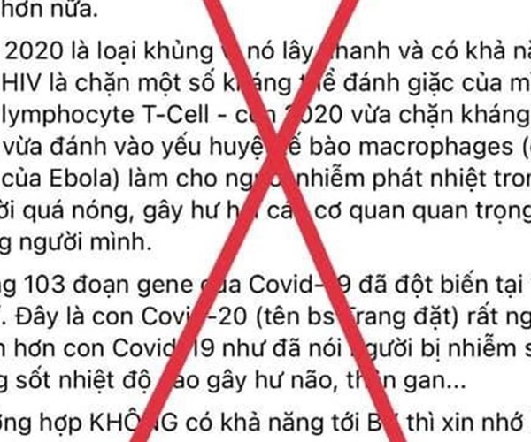 Hà Nội xử phạt 19 trường hợp đăng tin giả về dịch bệnh Covid-19 - Anh 1