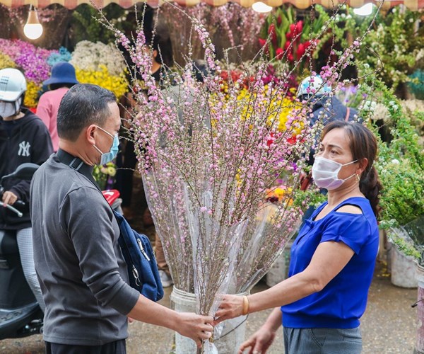 Hà Nội: Chợ hoa Quảng An tấp nập trở lại trước ngày 8.3 - Anh 12