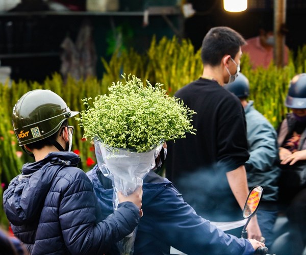 Hà Nội: Chợ hoa Quảng An tấp nập trở lại trước ngày 8.3 - Anh 11