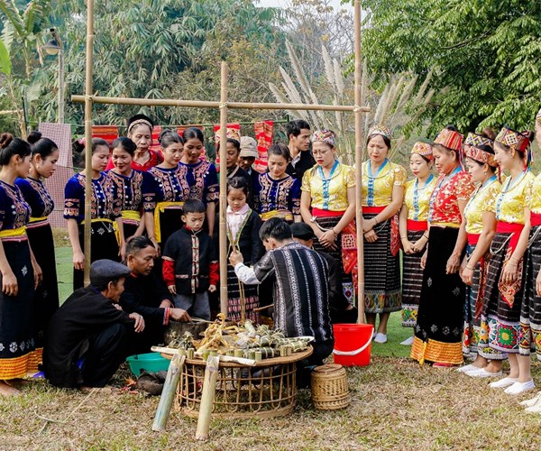 Phát động “Tết trồng cây đời đời nhớ ơn Bác Hồ”  tại Làng Văn hoá- Du lịch các dân tộc Việt Nam - Anh 1