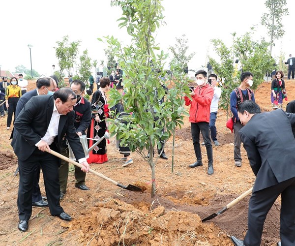 Thứ trưởng Nguyễn Văn Hùng: Bằng những việc làm, hành động thiết thực hưởng ứng phong trào trồng cây và bảo vệ môi trường - Anh 4