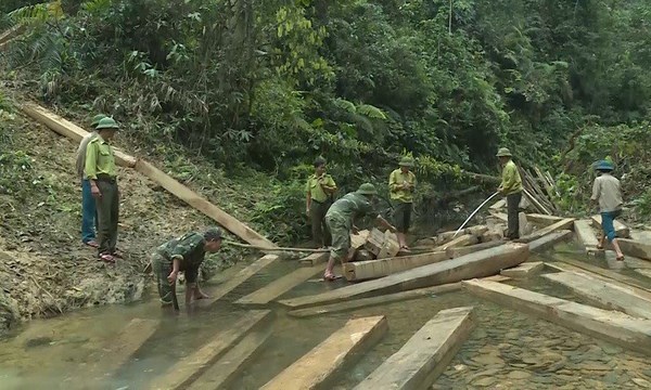 Quảng Bình: Xử lý nghiêm các cá nhân, tập thể liên quan đến vụ phá rừng ở xã Thanh Hóa - Anh 3