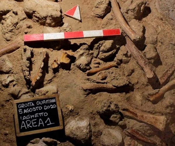 Di tích hóa thạch ở Italia gây chấn động về tổ tiên loài người - Anh 1