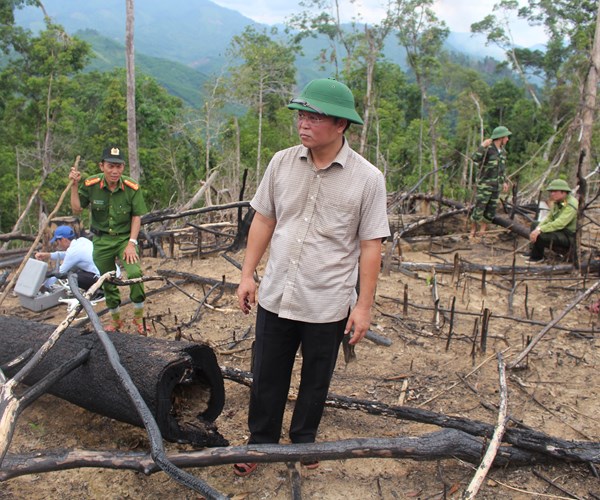 Quảng Nam: Để xảy ra phá rừng phòng hộ, nhiều cán bộ kiểm lâm bị kỷ luật - Anh 3