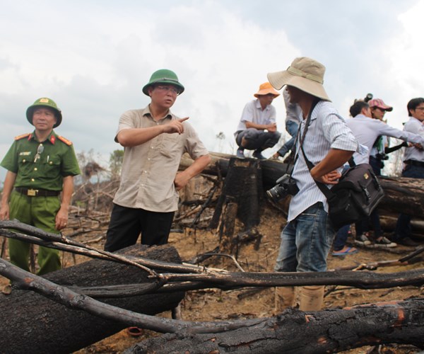 Quảng Nam: Để xảy ra phá rừng phòng hộ, nhiều cán bộ kiểm lâm bị kỷ luật - Anh 4