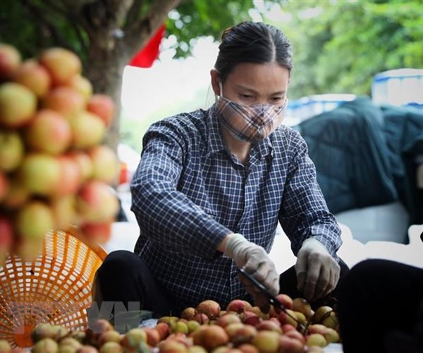 Chính phủ yêu cầu hỗ trợ tiêu thụ nông sản tỉnh Bắc Giang - Anh 1