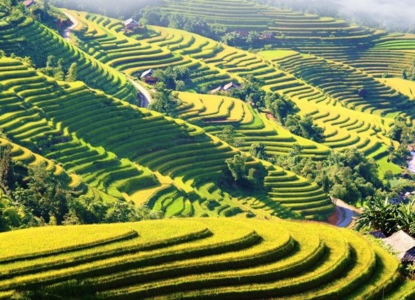 Qua nhung mien di san ruong bac thang Hoang Su Phi lan thu VI se dien ra vao thang 9 - Anh 1