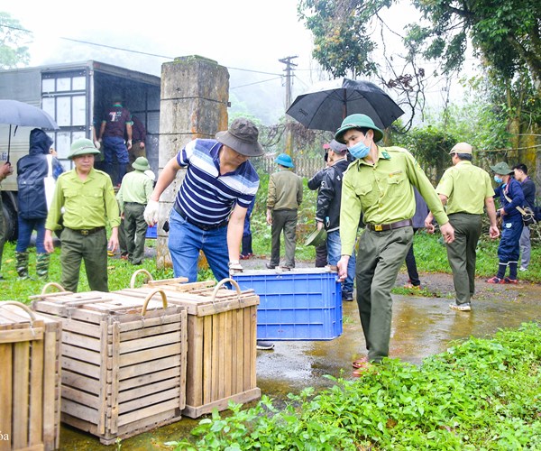 Tăng cường tuyên truyền bảo vệ động vật, thực vật hoang dã, quý hiếm - Anh 1