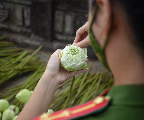 Công an huyện Ứng Hòa, Hà Nội hỗ trợ người dân thu hoạch và tiêu thụ hoa sen - Anh 9