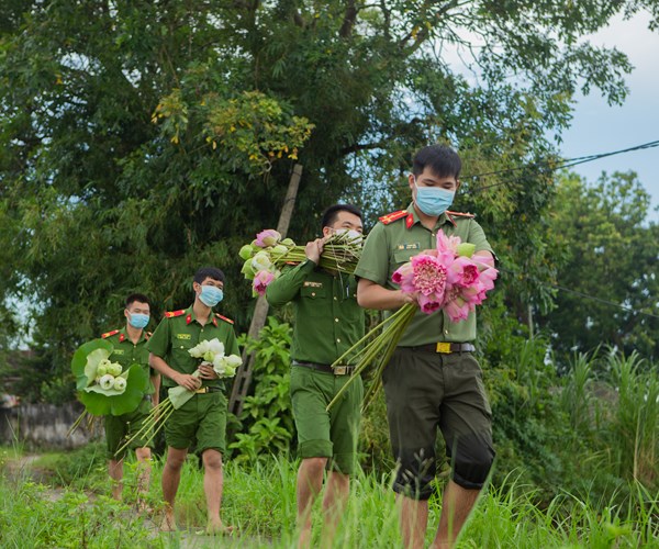 Công an huyện Ứng Hòa, Hà Nội hỗ trợ người dân thu hoạch và tiêu thụ hoa sen - Anh 12
