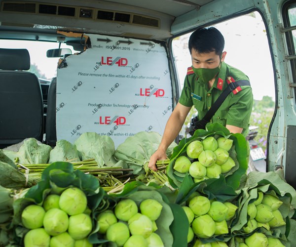 Công an huyện Ứng Hòa, Hà Nội hỗ trợ người dân thu hoạch và tiêu thụ hoa sen - Anh 15