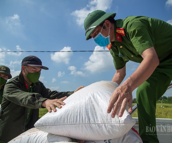 Hà Nội: Công an huyện Ứng Hòa đội nắng xuống đồng giúp dân gặt lúa - Anh 4