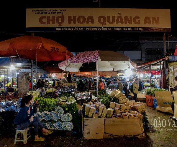 Hà Nội: Thị trường hoa tươi nhộn nhịp trước ngày 20.10 - Anh 9
