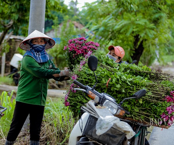 Hà Nội: Thị trường hoa tươi nhộn nhịp trước ngày 20.10 - Anh 2