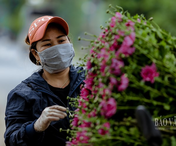 Hà Nội: Thị trường hoa tươi nhộn nhịp trước ngày 20.10 - Anh 3